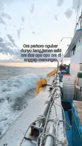 🫠#tkikorea🇰🇷🇮🇩 #pejuangwon🇰🇷🇲🇨 #gtogkoreaselatan🇲🇨🇰🇷 #pmikorea🇮🇩♡🇰🇷 #fishingkorea🇲🇨🇰🇷 
