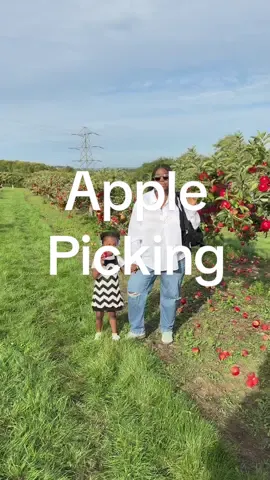 After we checked out the sunflower patch at Castle Farm, we went to their orchard and picked some apples. We’d never had this variety before and they were SO good. Entry to the orchard is free and the apples are £3.25/kg #CapCut #lolaandnifemi #castlefarm #applepicking #thingstodo 