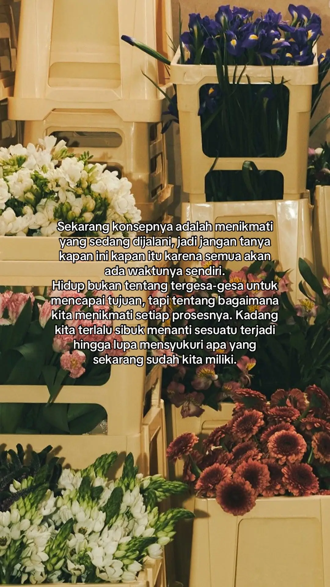 #foryoupage #zxycba #quotes #fyp #4u 