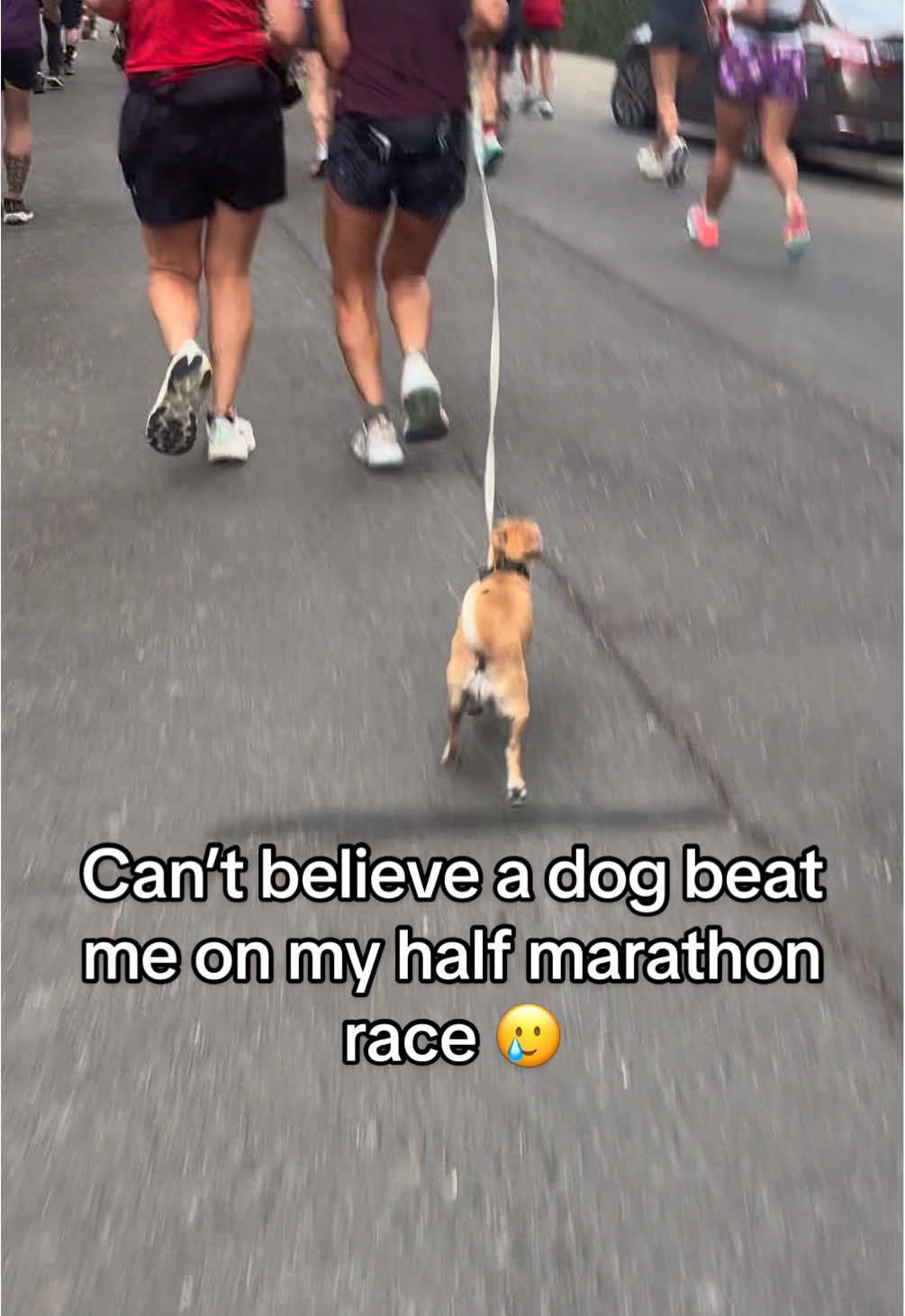 I had such a great time running my half marathon, I was way faster than I thought I would be. Also, yes I didn’t get beat by a dog 🥲😅. People were giving out free tequila shots but didn’t want to take any risk with my stomach.  Had such an amazing time at the Urban Cow Half Marathon. @LSKD @Nike @Fabletics @Under Armour @Salomon @Strava @Endorphins  #creatorsearchinsights #Running #run #runtok 