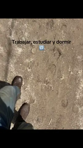 #agro #paratii #agronomia 