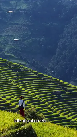Chào mừng bạn đến với Việt Nam, Quốc Gia của danh lam thắng cảnh 📸 #himangden #vietnamtravel #dulich #viral #foryour 