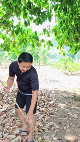 sapu garuk buat di taman halaman rumah kebun serbaguna #saputaman #sapugaruk 