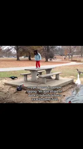 i love ducks now! #LanguageLearning #duck #papa #meow 