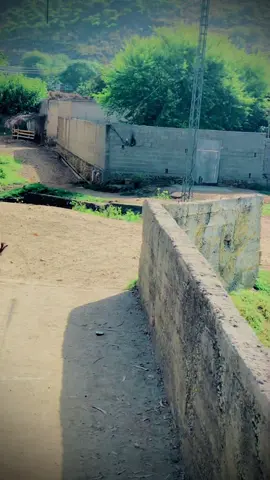 Ta Ba Hyastuna Da Zwanye GWARI_🥱🌊🥀👫🙌👀💫 REPOST THIS VIDEO 📼🫵🏻🙏🏻 #repost_plz❤️💫 #foryoupage #foryou 