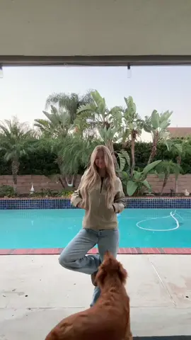 😄😄😄😄😄