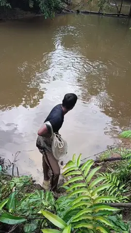 jala ikan lampam #ikan #jala #orangkampung #netfishing #orangkampung 