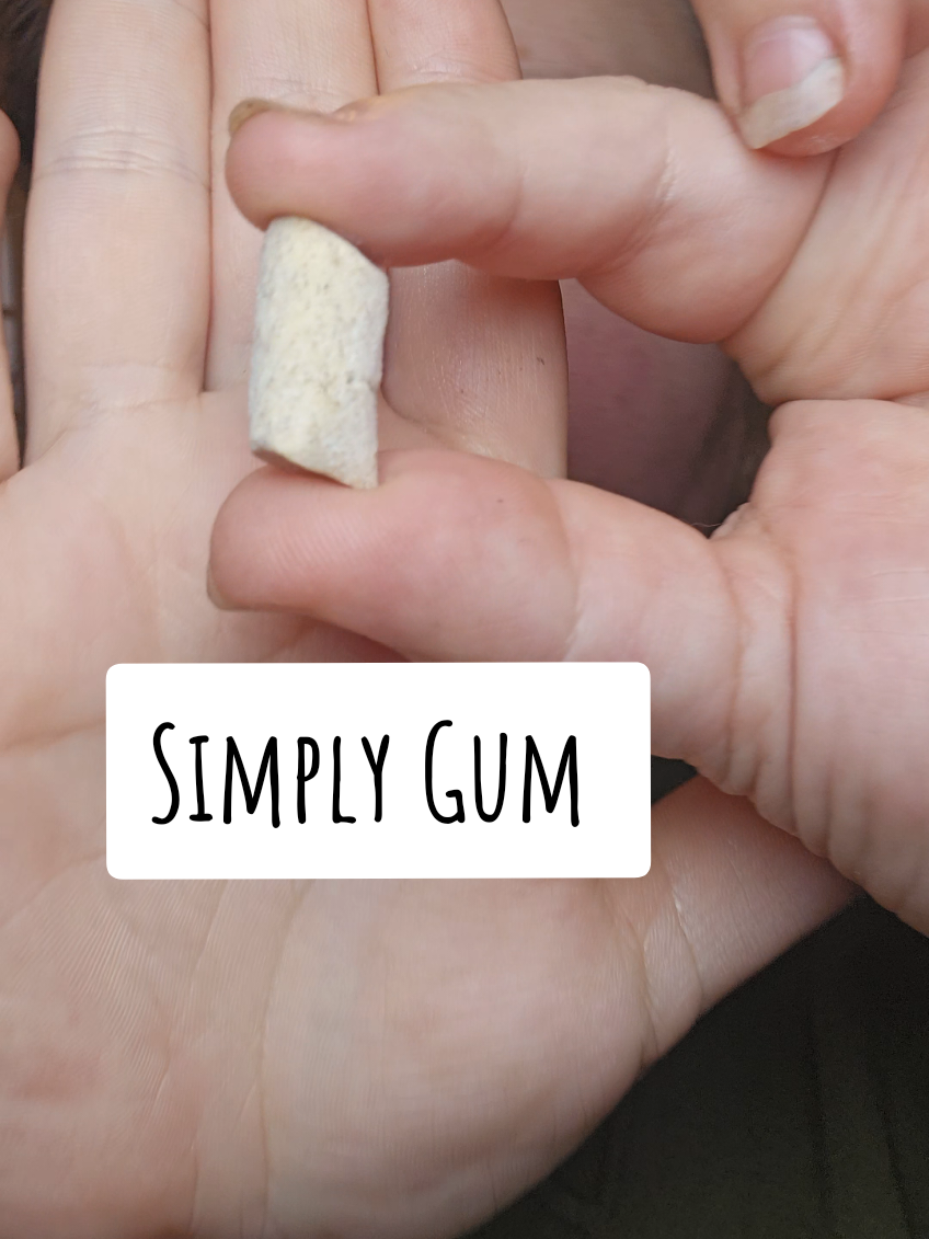 Super fun to try a natural gum. A little tougher to chew at first but it ended up perfect after a few chews. And it tastes good!! 10/10. #simplygum #gum #naturalgum #chewinggum 