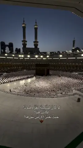 #ماهرالمعيقلي #quranrecitation #quran_alkarim #اجر_لي_ولكم_ولوالدينا_وللمسلمين #8d 