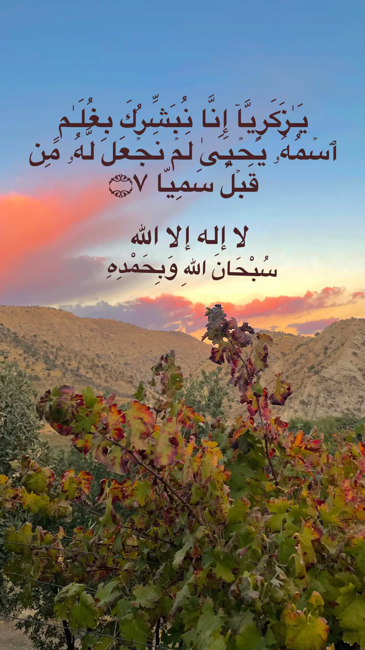 #العفاسي_قران #سورةمریم #لا_اله_الا_الله #قران_كريم #تريند 