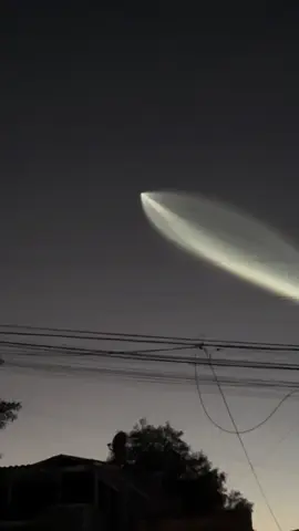 Por quién vas o a quién llevas patrón? #viral #elpiratadeculiacan