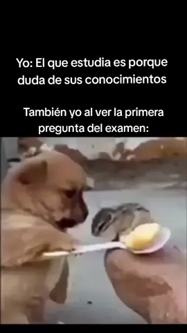 #exoticmodest7 #viral #humor #escuela #fyp 