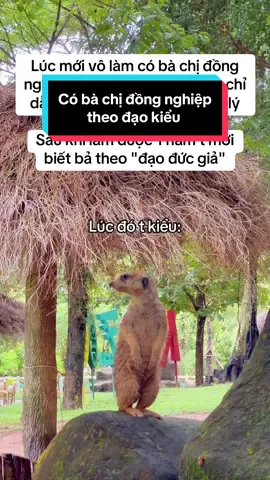 Người hay nói đạo lý sống như ... #VinWonders #GreenCreator #dulich #animals #83xz4gl 