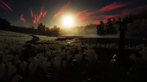 #ghostoftsushima #xyzbca #fyp #r 