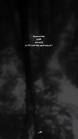හ්ම්ම්🥺❤️‍🩹#fvp #foryoupage#nostalgic #onemillionaudition #____shaali 