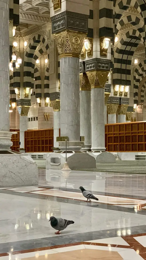 #foryoupage_ #viral #foryoupage_ #viral #foryoupage_ 