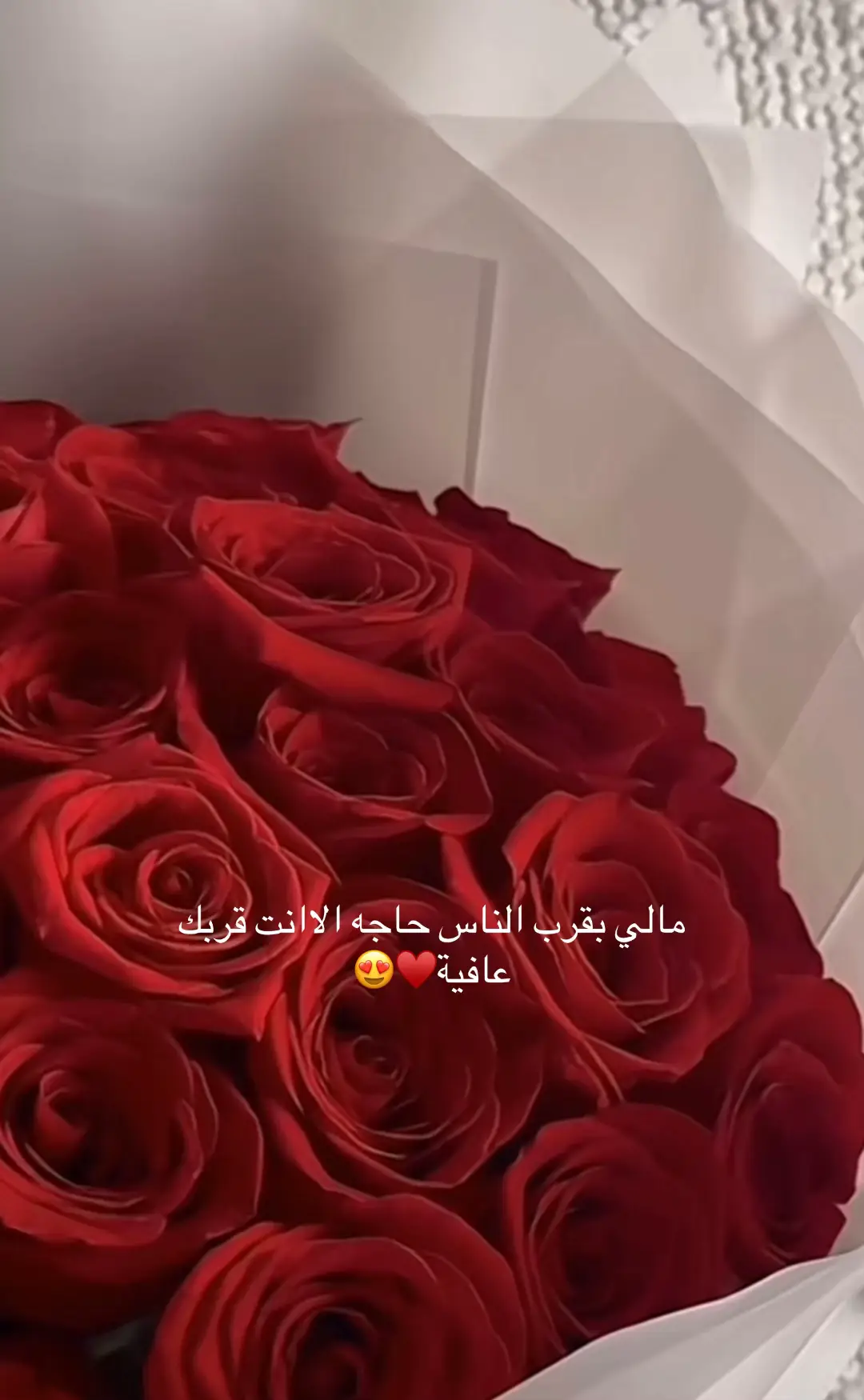 #♥️🌹🌷🌷♤♡♡♧♡♤ #CapCut #اكسبلور_explore #♥️♥️🌹🌹🤩🤩😃 
