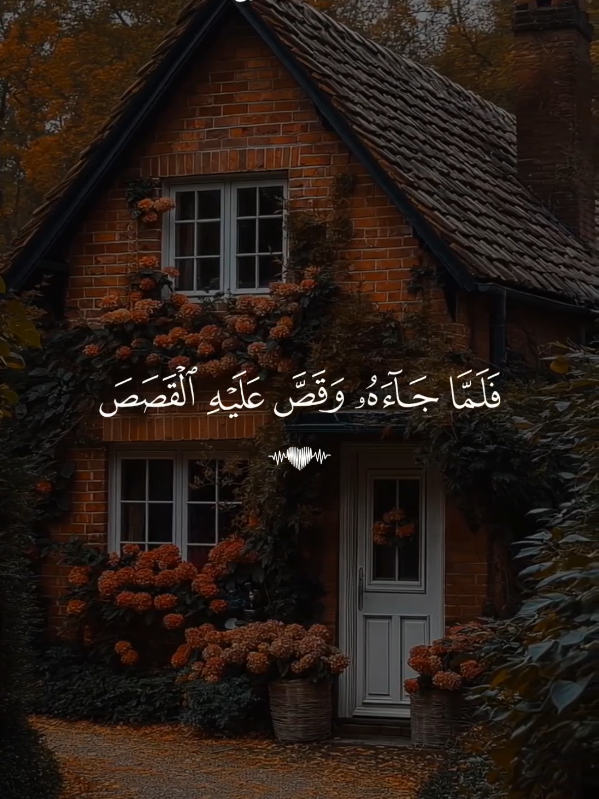 🕳️ تلاوة خاشعة للشيخ ماهر المعيقلي آيات من سورة القصص  #Koran #Islam #foruyou  #Glaube #fyp 