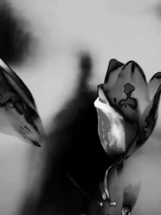 don't say you need me if #syntlyrics #blackandwhite #edit #lanadelrey #prettywhenyoucry  background credits:@Faris (loveu) don't say you need me when you leave and you leave again