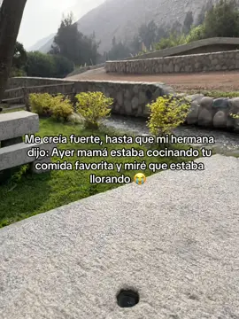 Pronto iré a verte mamá 🥺 #teamomamá #teextraño #foryoupage 