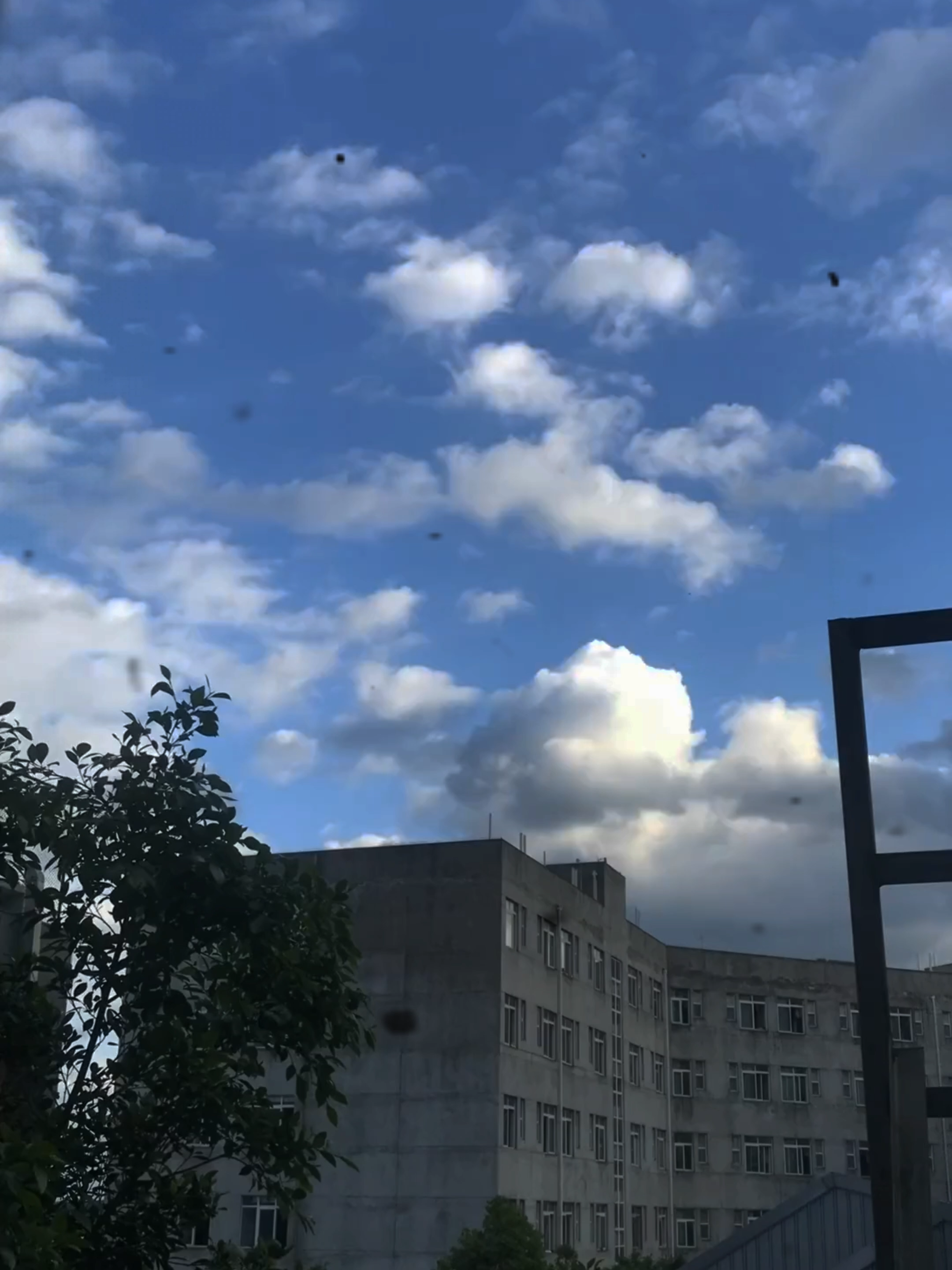 Mata ada bintik terbang? 😳 Jangan risau! Minum BeSeen Plus+！🌟 Cepat, tinggal 30 tempat je untuk promo baru!” 🔥 #mata #sihat #BeSeen #matakering #bintikhitamwajah