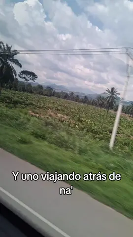 Mejor dicho JAJAJAJJAJ🫠