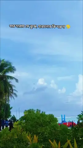 #tiktok #foryou #viralvideo #প্রকৃতি🥰সৌন্দর্য 