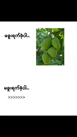 မခူးရက်ခဲ့ပါ😐>>>>#fyp #foryou #fypage #1millionaudition #viewsproblem 