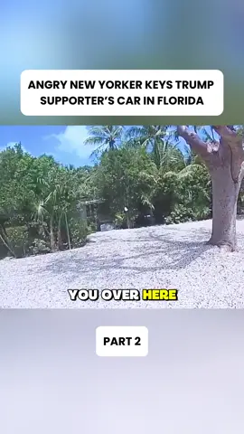 Angry New Yorker Keys Trump Supporter’s Car in Florida #cops #police #copsoftiktok #fypシ #foryou 