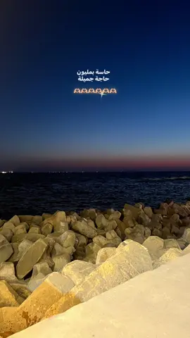 #fyp #elissa #حب #اغاني #viral 