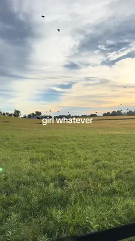 #real 