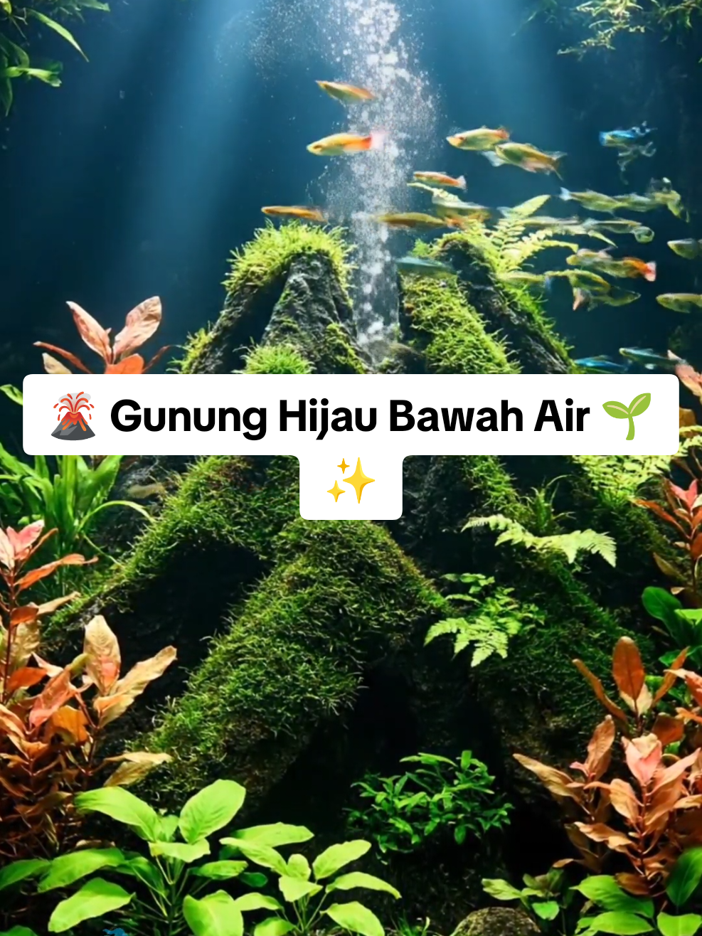 Bayangin gunung bawah air yang gak meletus api, tapi meledak dengan tanaman hijau lebat 🌿🐟 Estetik, dramatis, dan bikin betah nonton sampai akhir 🤯🔥 #aquascape #gununghijau #underwaterjungle #fyp #aqualife