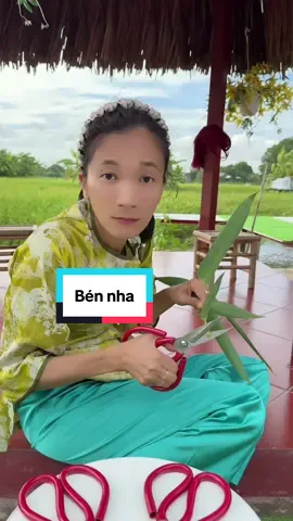 Combo kéo thép #xuhuong #phuongthao86 #keothep