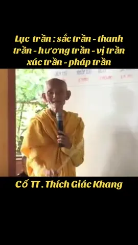 Nam Mô A Di Đà Phật (51)