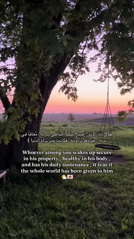 اللهم بك أصبحنا وبك أمسينا وبك نحيا وبك نموت وإليك النشور🍂 #صباح_الخير #اذكار#قران #اطمئن #fyp #الطبيعه #foryou #اجر_لي_ولكم #نصيحه #ادعيه #explorer #الله_سبحانه_وتعالى #الله #اكسبلور 