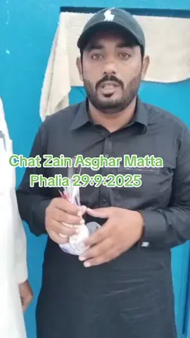 #pigeon #viral #viralvideo #foryoupage #mandibahauddin 
