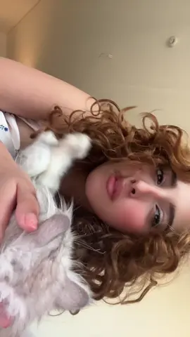 #fu #4up #halsey #cat 