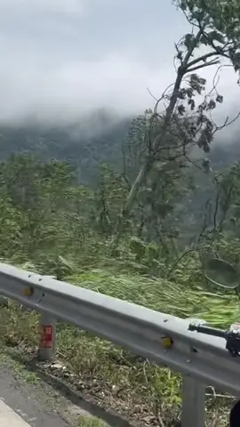 Chiiiilllll quá tam đảo ơi 