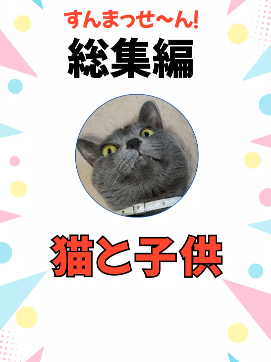 方言をしゃべる猫たち120 総集編⋯猫と子供 #猫 #猫動画 #猫おもしろ #猫のいる暮らし 