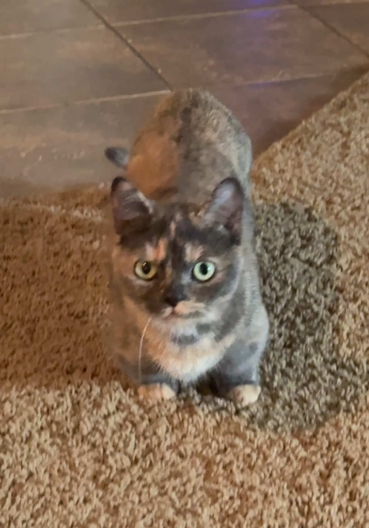 Honestly, not worried at all 😮‍💨