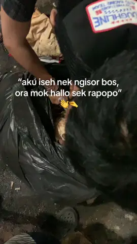 lak wes karo nogo ngko tak kabari #wesgakcekelanduek #fyp 