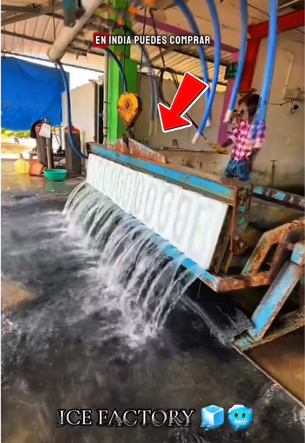 ¿Te Atreverías a Comer Hielo del Río Ganges? #india #gangesriver #rio 