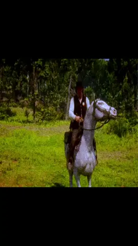 the Van Der Linde effect. #rdr2 #videogames #story #sad #fyp 