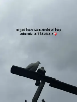 : যে দুঃখ নিজে ডেকে এনেছি তা নিয়ে আফসোস করি কিভাবে..! ❤️‍🩹#foryoupage #CapCut #captionvideo🖤🌼 