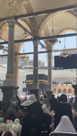 #umrah 