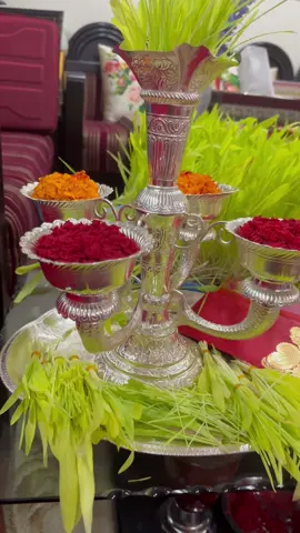 #dashain #dashain_special  #happydashain #fyp #tikadani 