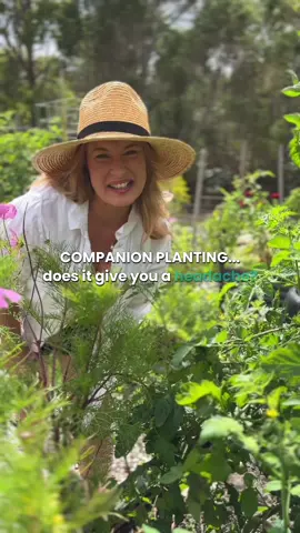 If your veggie garden doesn’t grow well …. Companion planting is NOT going to turn your veggie garden around unless you get these things right first! 👇  if you’ve struggled to grow a healthy veggie garden… Sure, planting herbs and flowers in your veggie garden encourages a broader range of insects - that’s important.  But as for the what to plant where- it can be far more simple and doesn’t have to be so complicated and overwhelming for beginners.  Companion planting just isn’t the most important thing - I promise you can break lots of the “companion planting rules” and still grow an amazing veggie garden- I’ve proven that time and time again.  Here’s what matters most 👇 💚 your soil  💚 your planting times  💚 healthy seedlings  💚 plant care 101 - knowing what each plant like to thrive  If you want an EASY  way to grow your veggie garden and get results, without spending lots of time - the be sure to check out my program it’s helped beginner home gardeners around the world to grow food!  Cheers 🥂 Sarah Rani