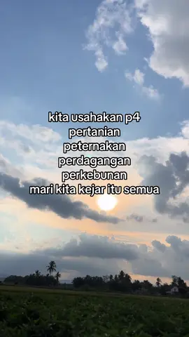 #petanimuda #peternakmudaindonesia#pedagangmuda#perkebunan 