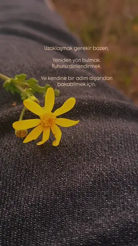 #keşfetteyizzz 