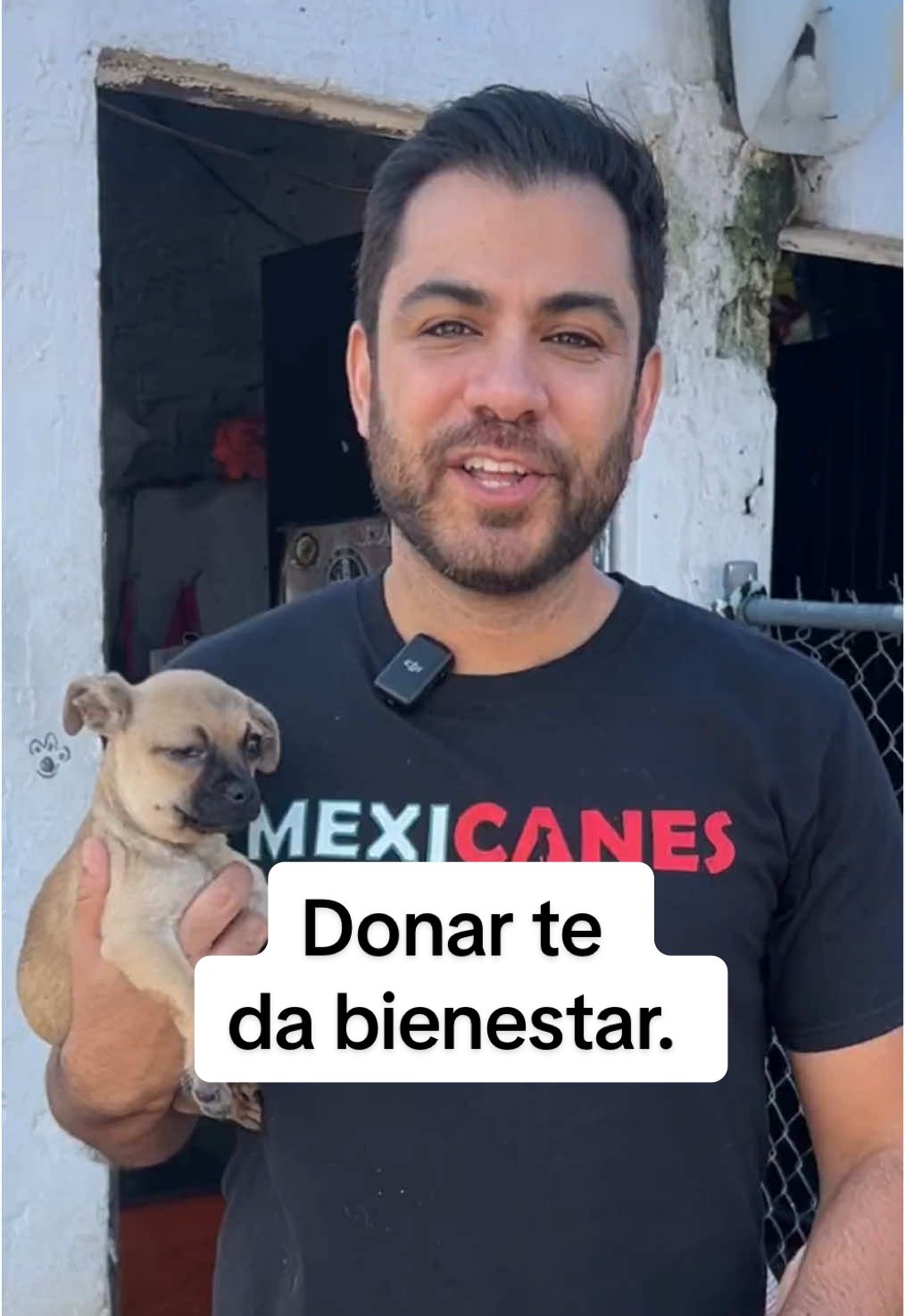 Lo que donas siempre regresa a ti en forma de bienestar. Súmate a Mexicanes, ayúdanos a seguir cambiando la vida de miles de perros callejeros y permítete tener este sentimiento maravilloso. #dog #perro #adopta #adopt #mexico #guadalajara #foryou #parati 